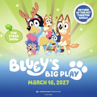 Bluey's Big Play